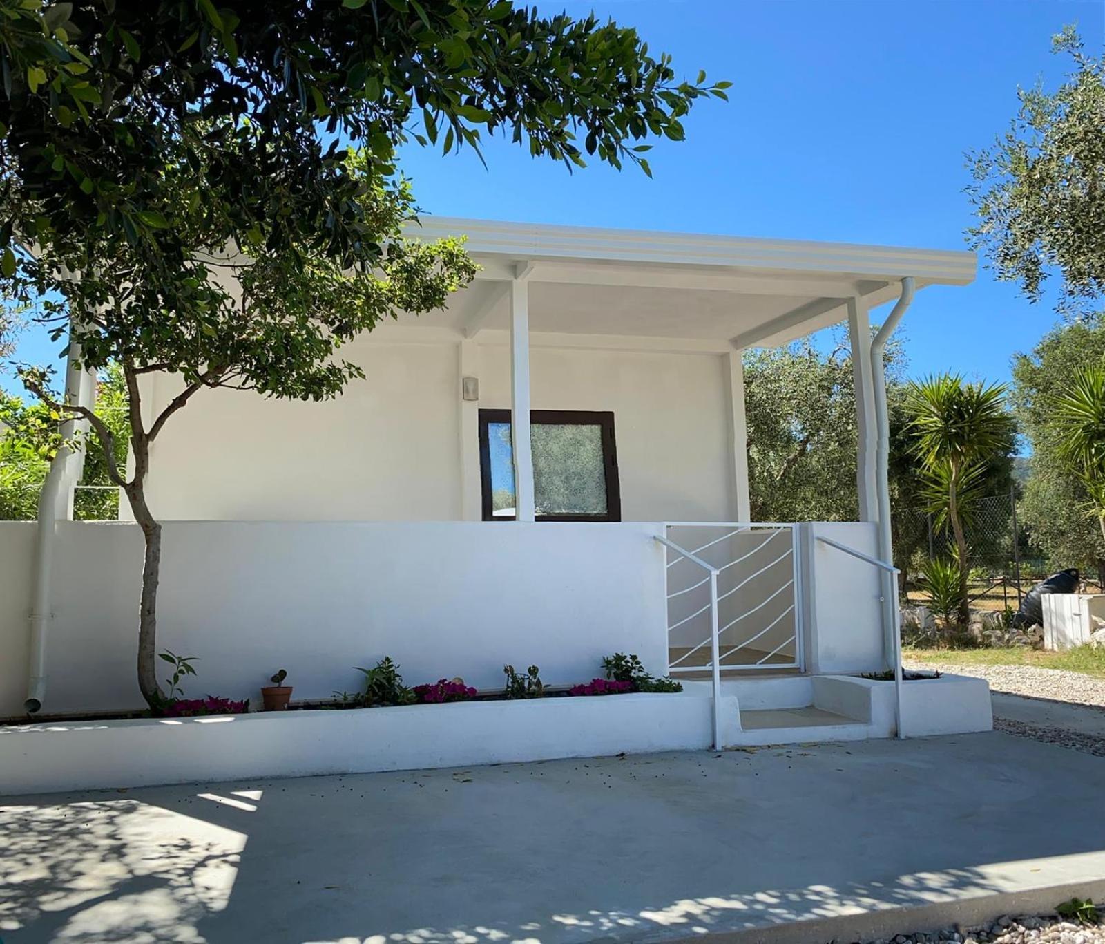 B&B direttamente sul mare da Antonino Mattinata Esterno foto